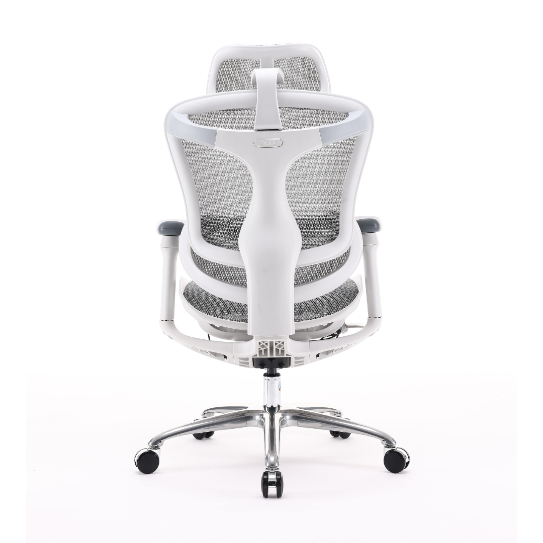 SIHOO DORO C100