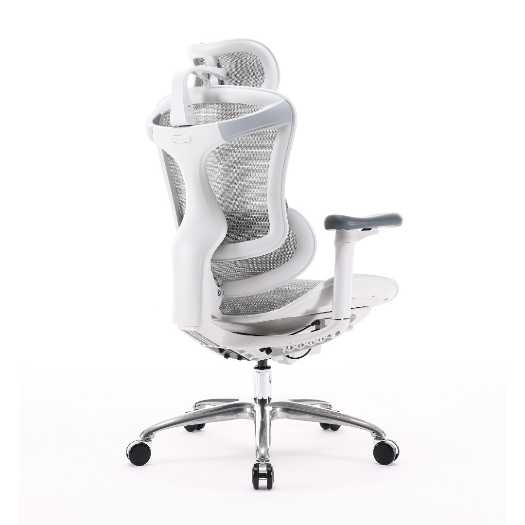 SIHOO DORO C100